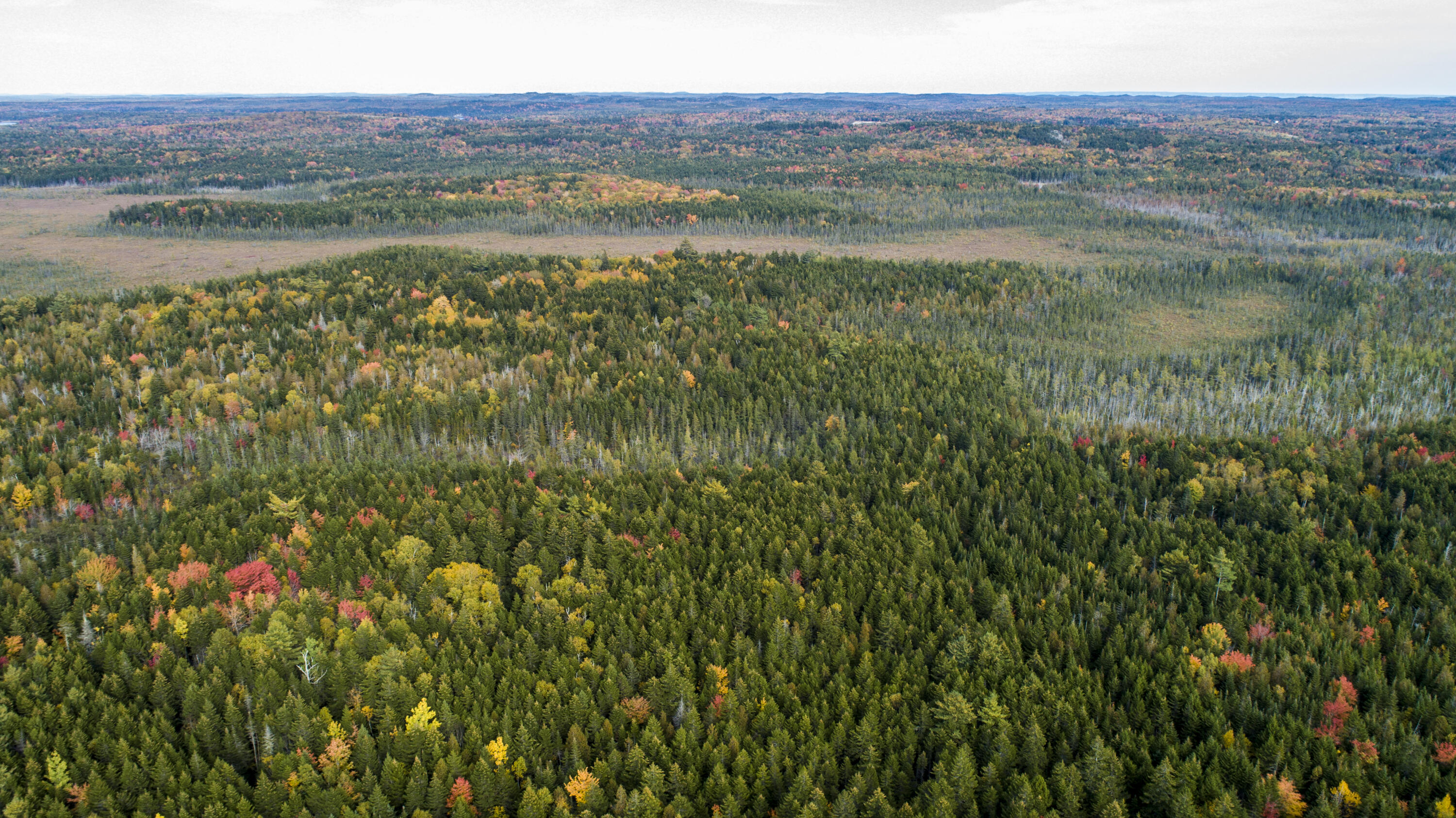 15-2 Carson Lane Whiting, ME 04691 - Photo 5 of 12 2019 October 5 Whiting Carson Hill Lots