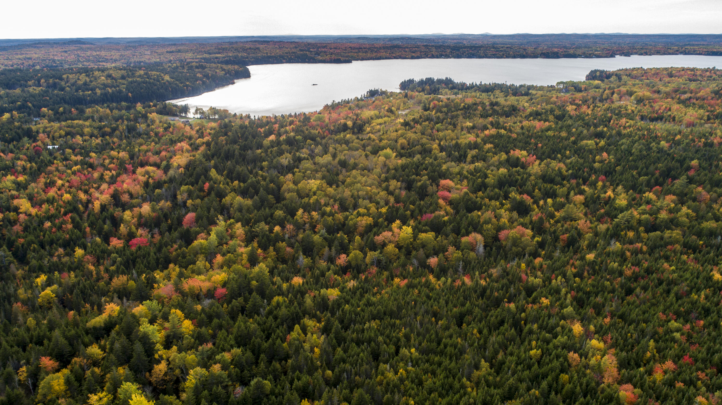 15-2 Carson Lane Whiting, ME 04691 - Photo 7 of 12 2019 October 5 Whiting Carson Hill Lots