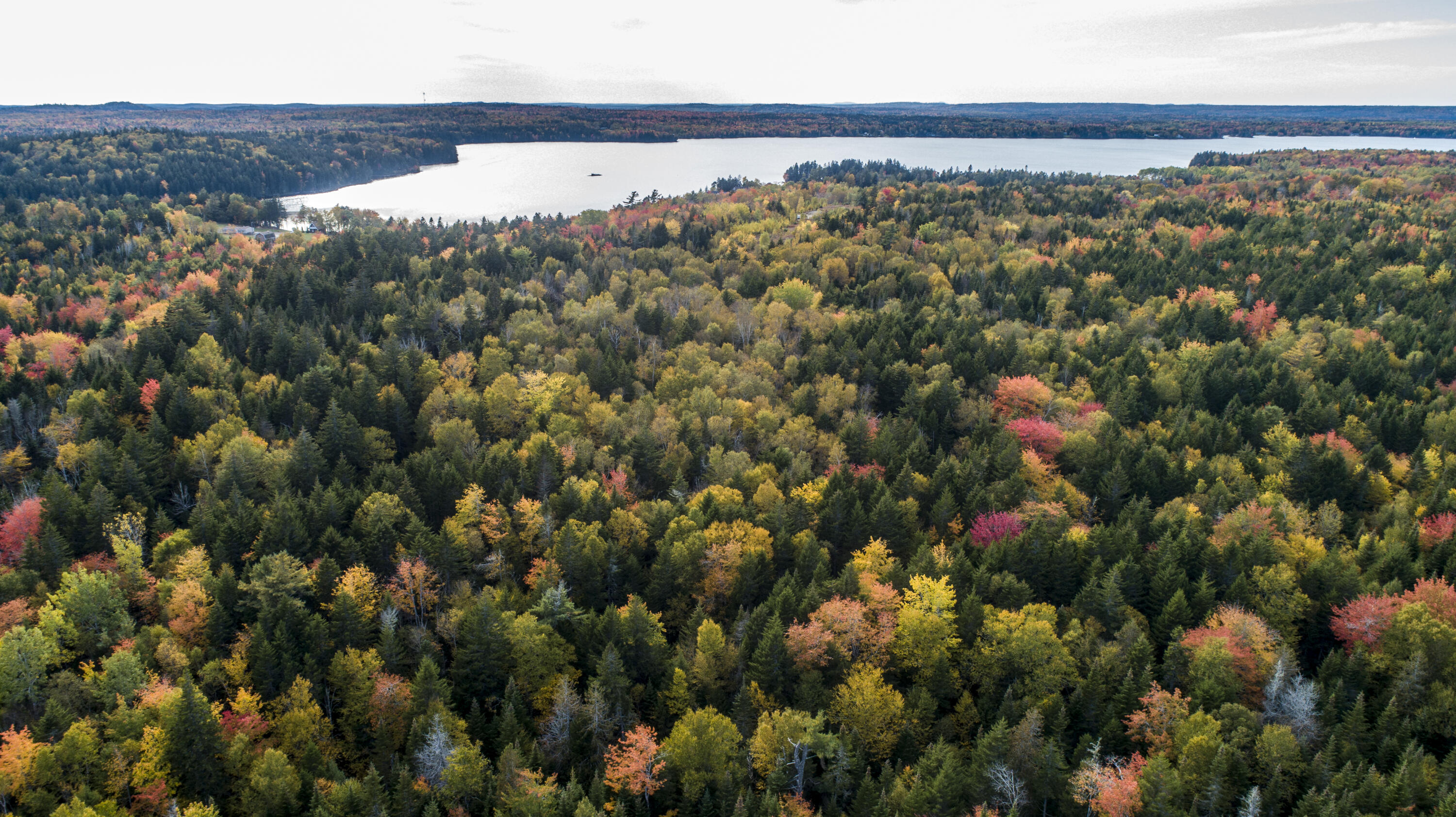 15-2 Carson Lane Whiting, ME 04691 - Photo 8 of 12 2019 October 5 Whiting Carson Hill Lots
