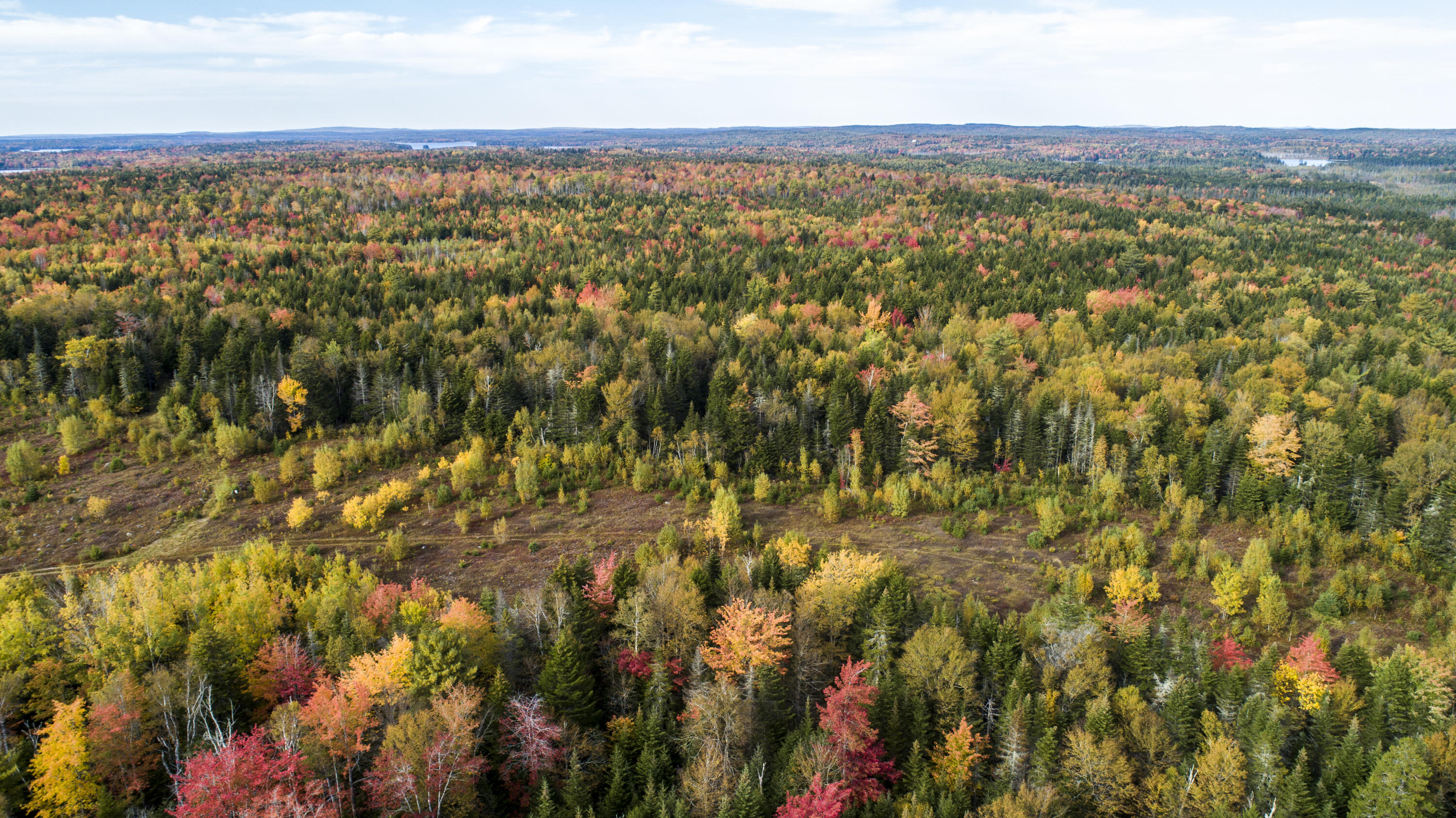 15-2 Carson Lane Whiting, ME 04691 - Photo 9 of 12 2019 October 5 Whiting Carson Hill Lots