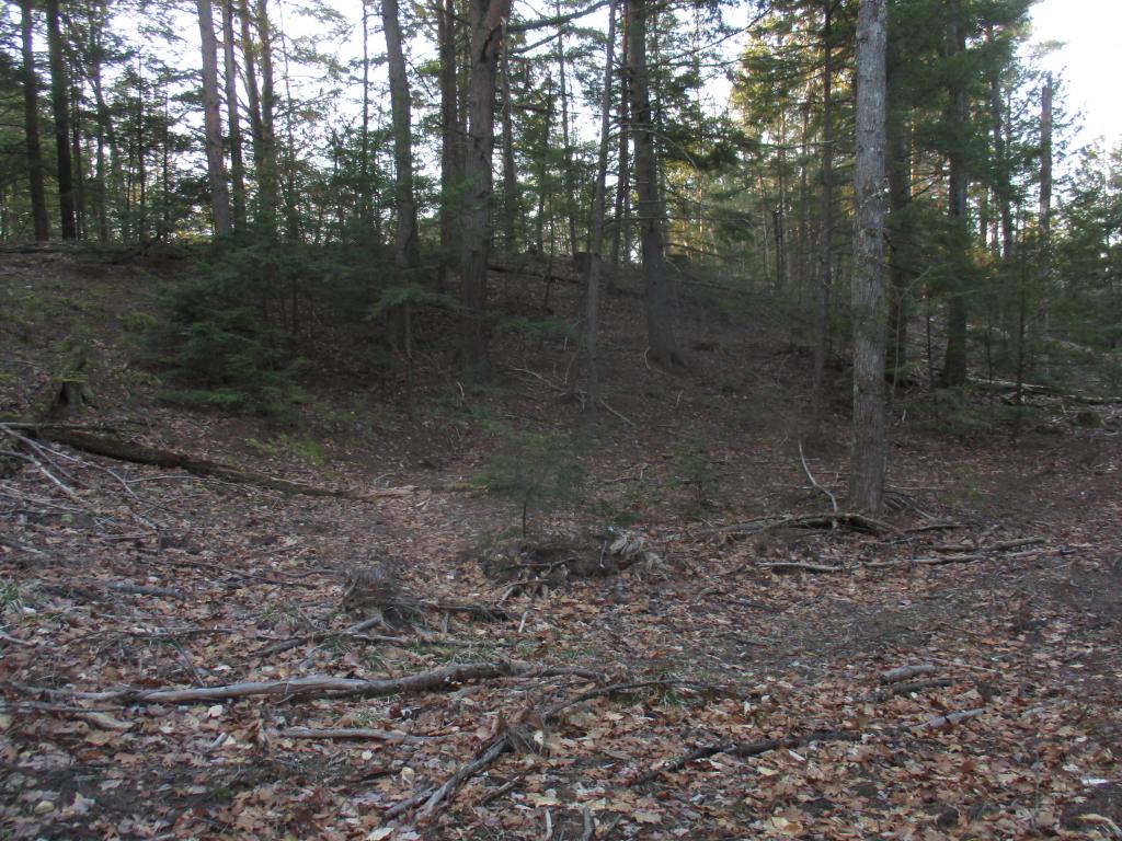 18-6 New Boston Road Greenfield, NH 03047 - Photo 1 of 9