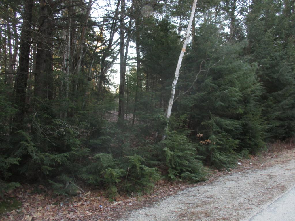18-6 New Boston Road Greenfield, NH 03047 - Photo 3 of 9
