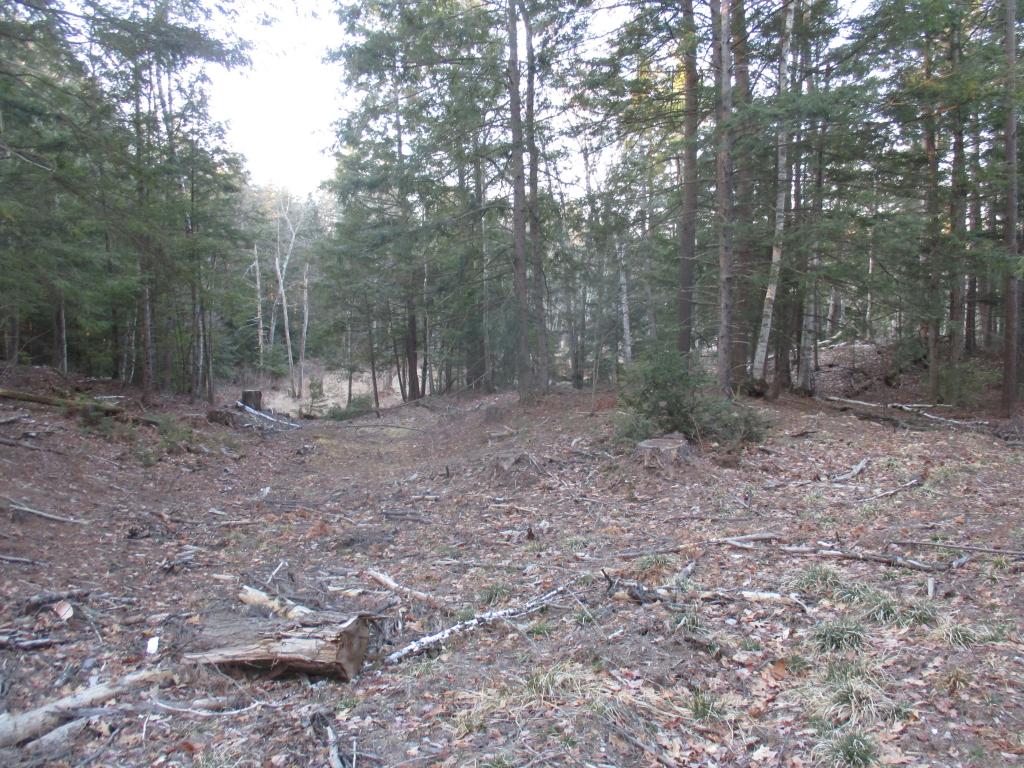 18-6 New Boston Road Greenfield, NH 03047 - Photo 5 of 9