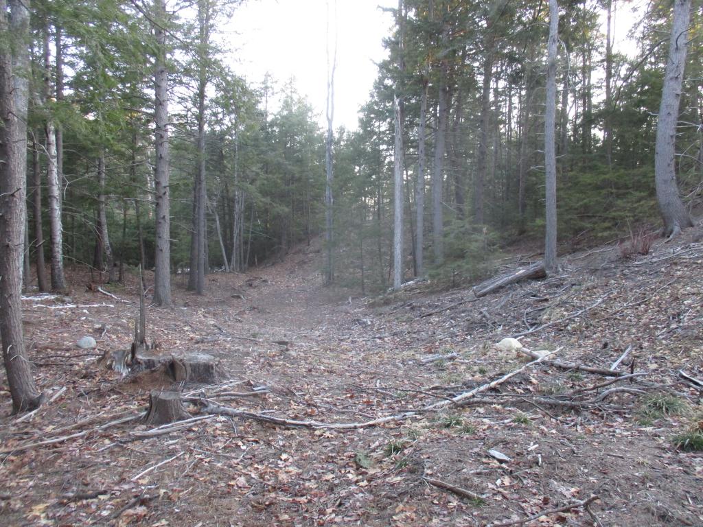 18-6 New Boston Road Greenfield, NH 03047 - Photo 6 of 9
