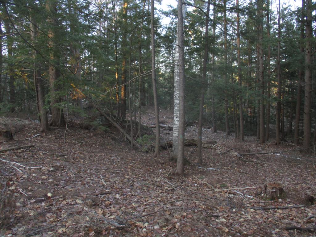 18-6 New Boston Road Greenfield, NH 03047 - Photo 7 of 9