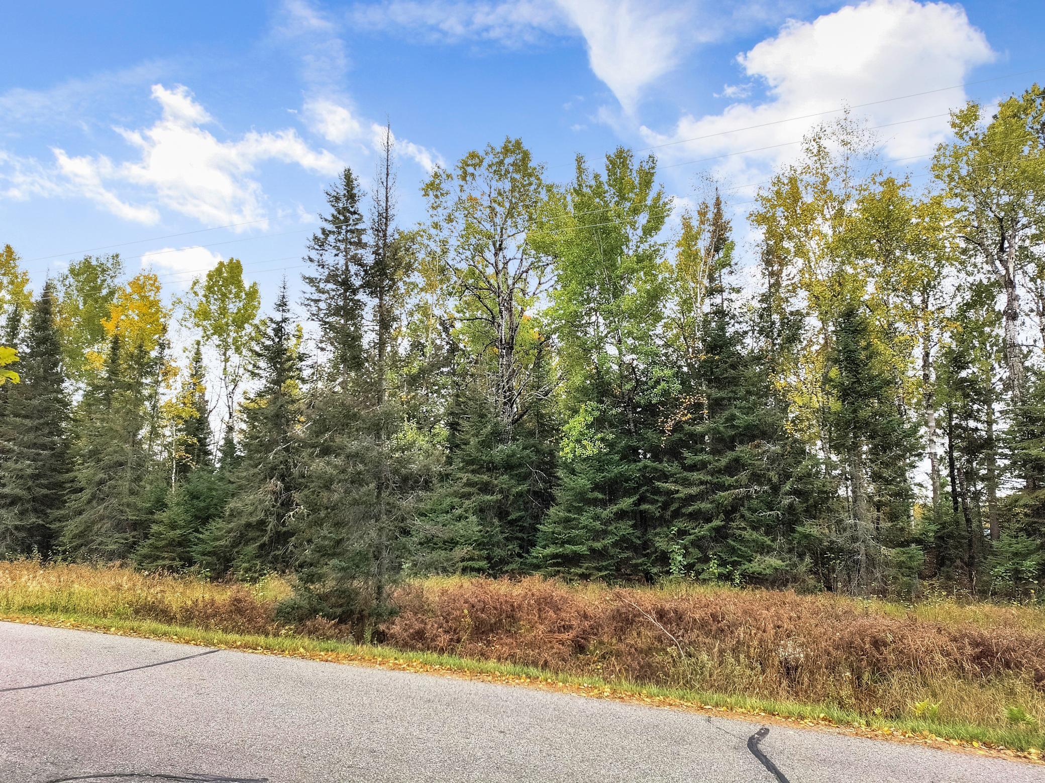 Xxxx Raps Road Cook, MN 55723 - Photo 1 of 1 Gallery Image 1