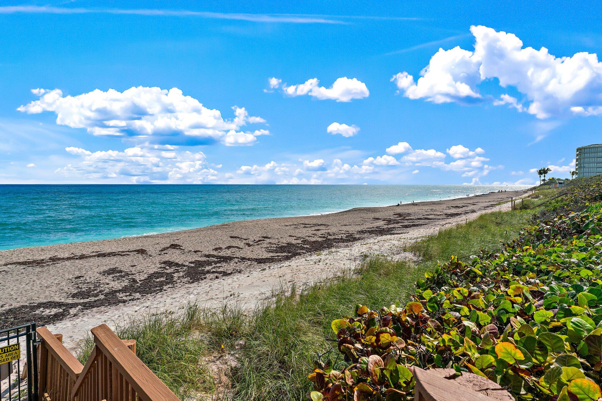 19670 South Beach Road, Unit B303 Jupiter, FL 33469 - Photo 68 of 104 a view of a yard with an ocean