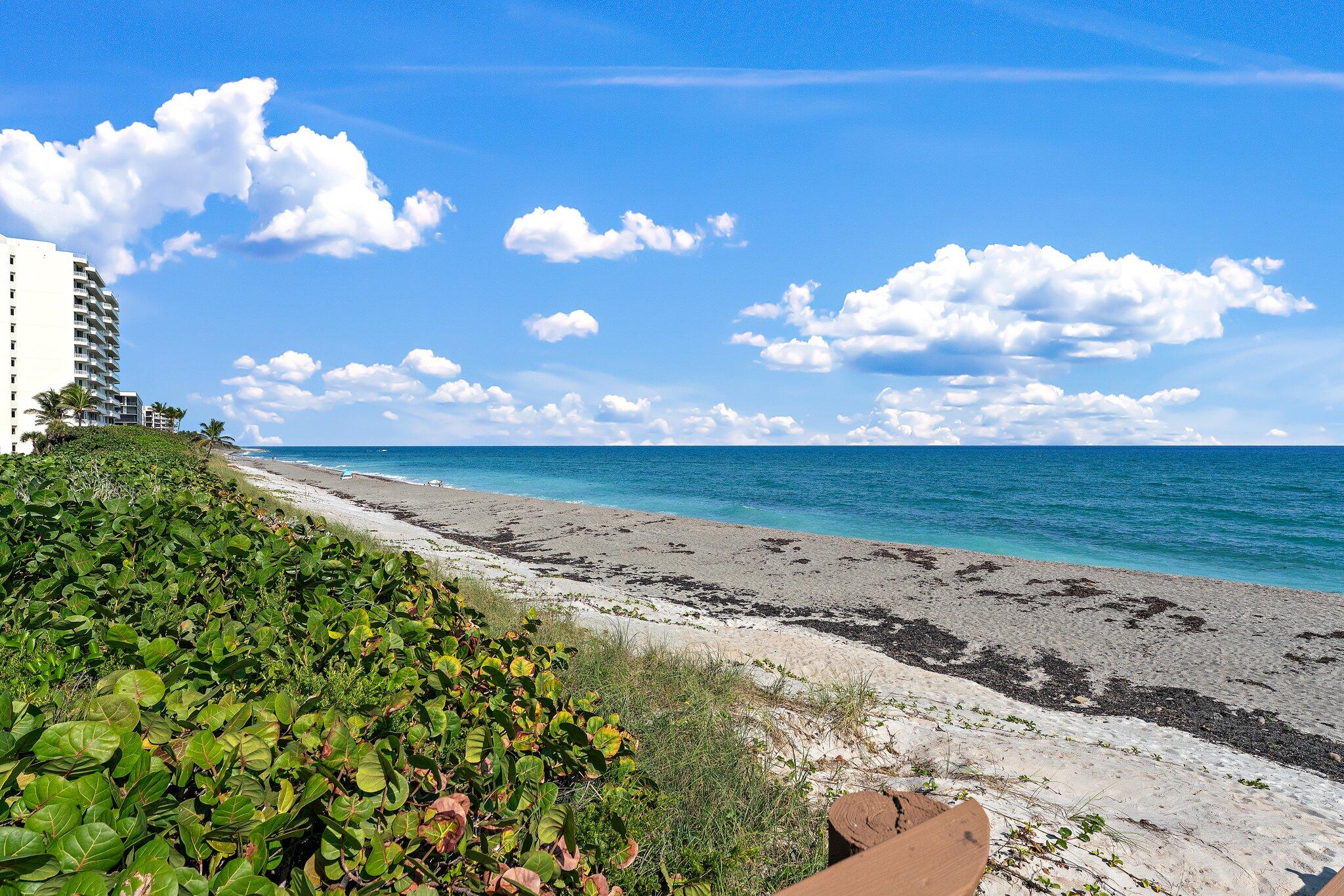 19670 South Beach Road, Unit B303 Jupiter, FL 33469 - Photo 75 of 104 a view of a lake with beach and a city view