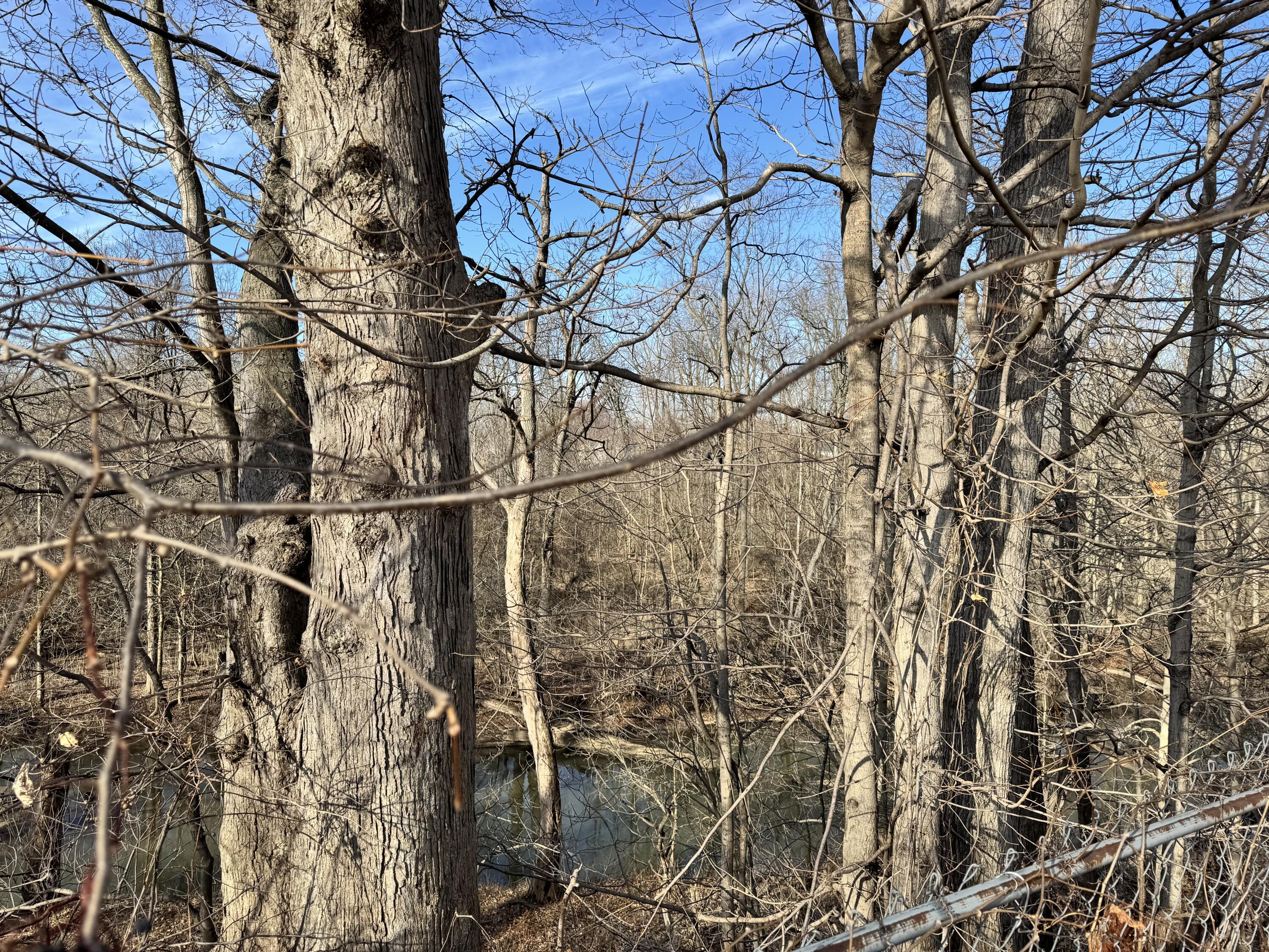 1100 South Main Street, Unit 171 Adrian, MI 49221 - Photo 6 of 23 IMG_7242