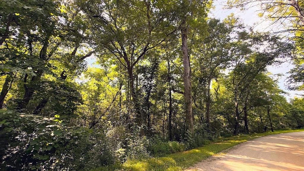 0 Nix Road Bremen, GA 30110 - Photo 4 of 11