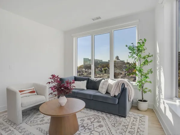 a living room with furniture and a potted plant