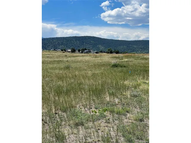 a view of a lake from a yard