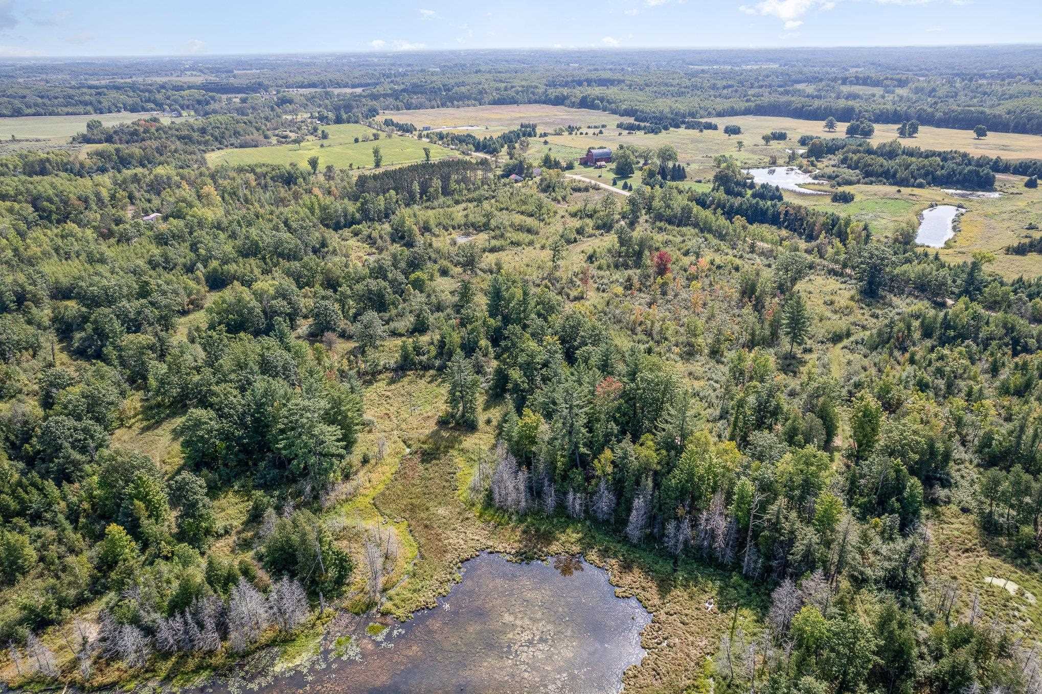 Tbd McGilvery Lake Road Gladwin, MI 48624 - Photo 20 of 30
