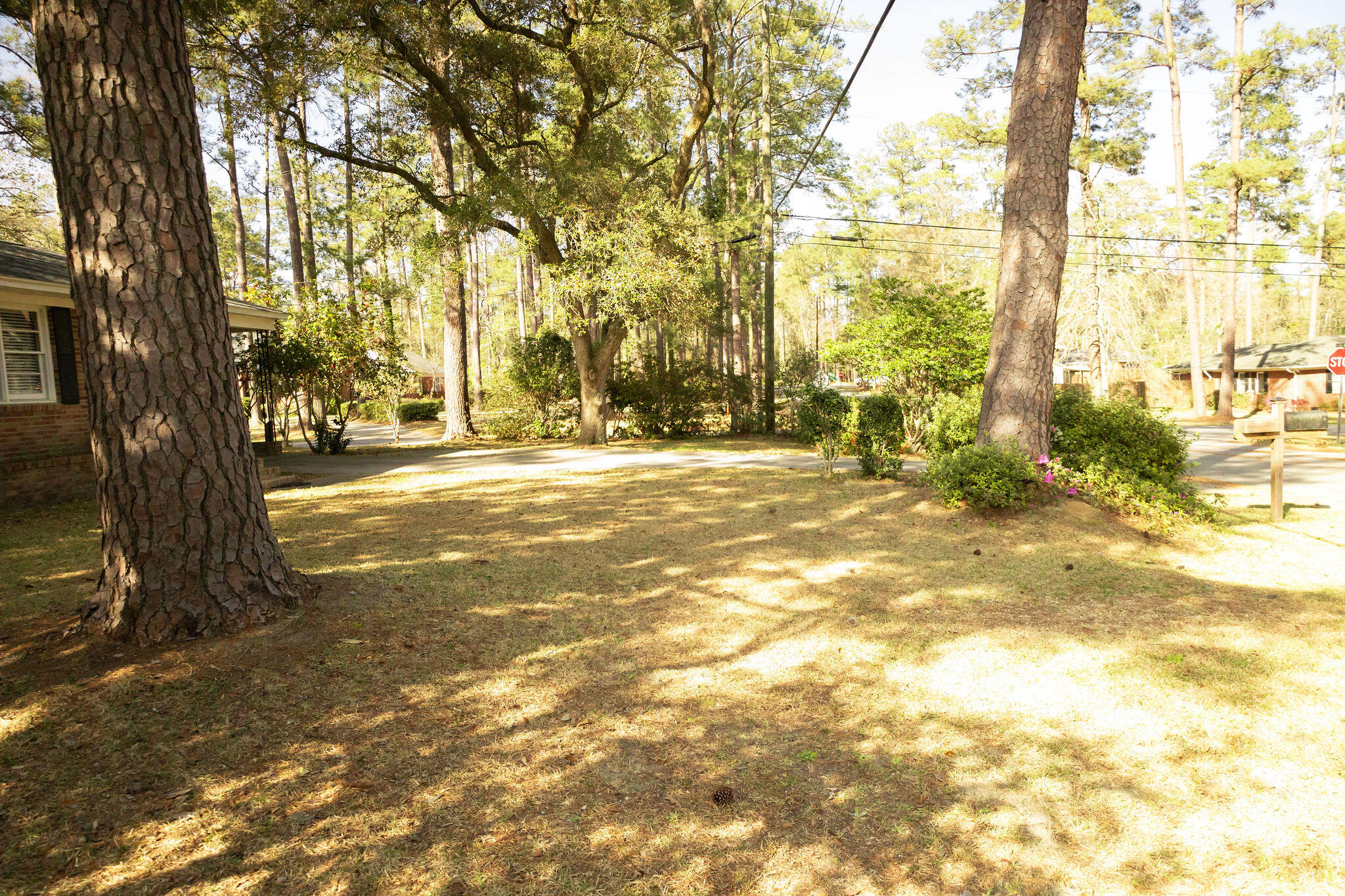 202 Churchill Road Walterboro, SC 29488 - Photo 41 of 47 3T6A1521