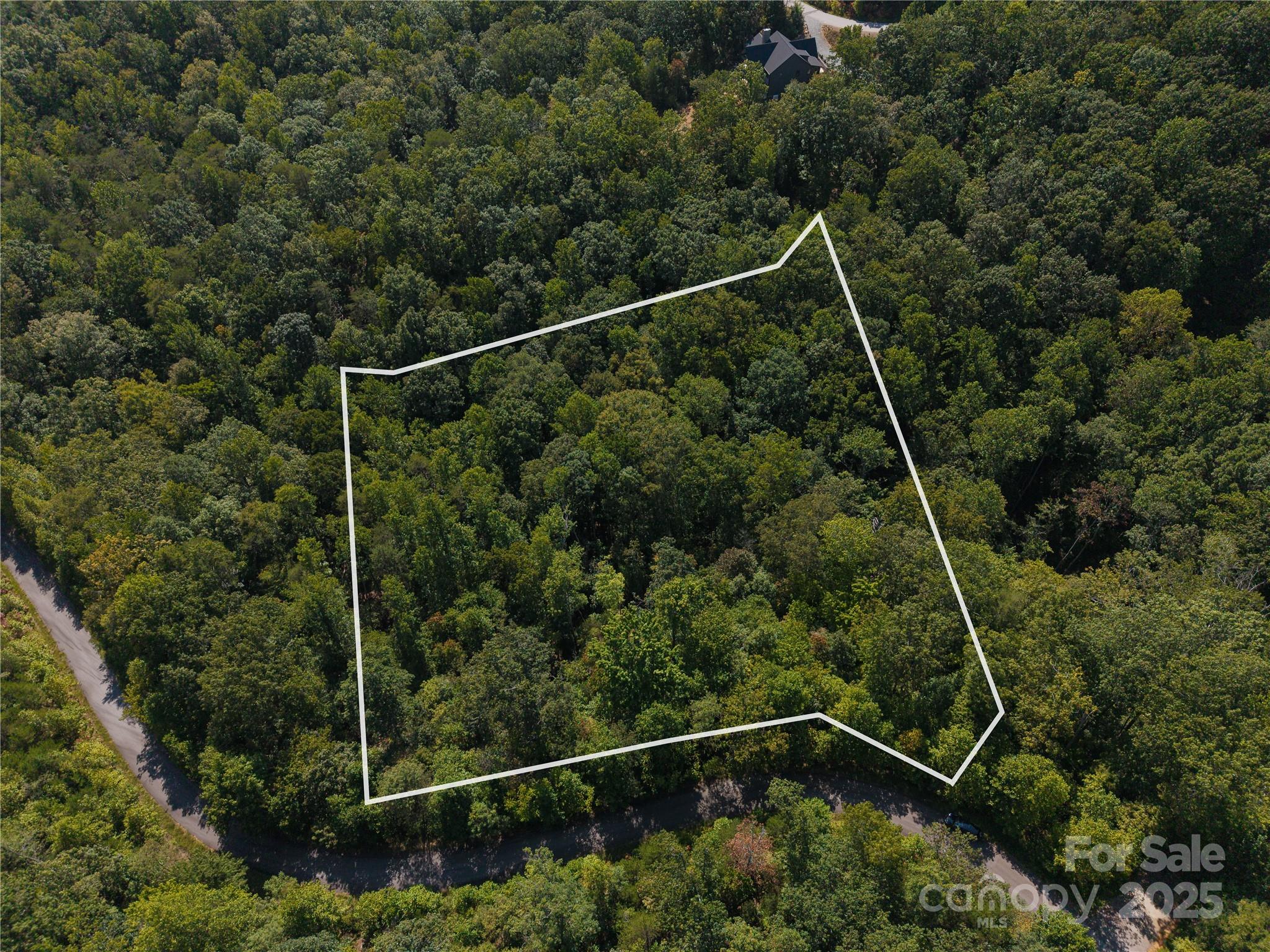 0 Wambli Pass Lake Lake Lure, NC 28746 - Photo 1 of 7