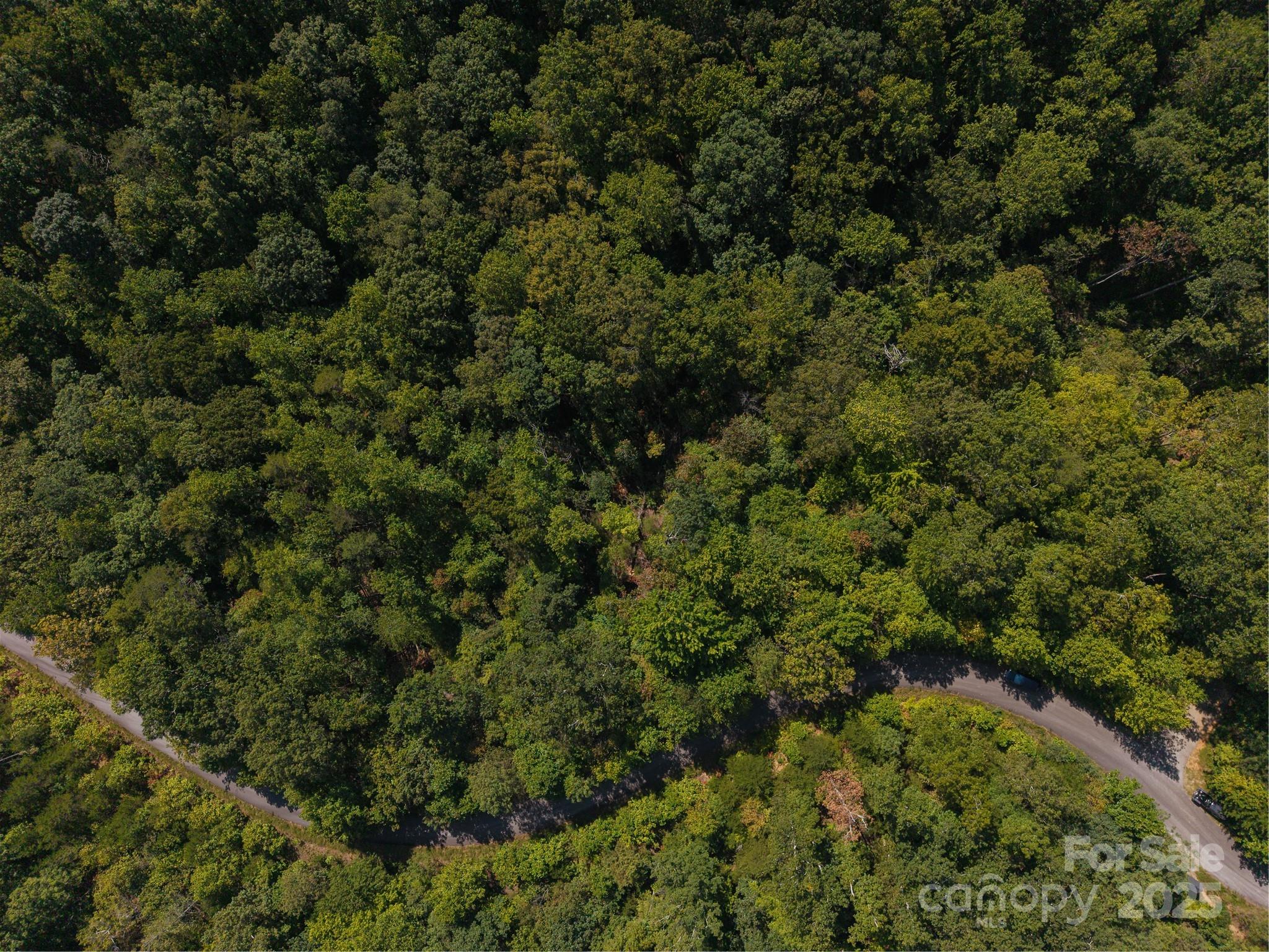 0 Wambli Pass Lake Lake Lure, NC 28746 - Photo 2 of 7