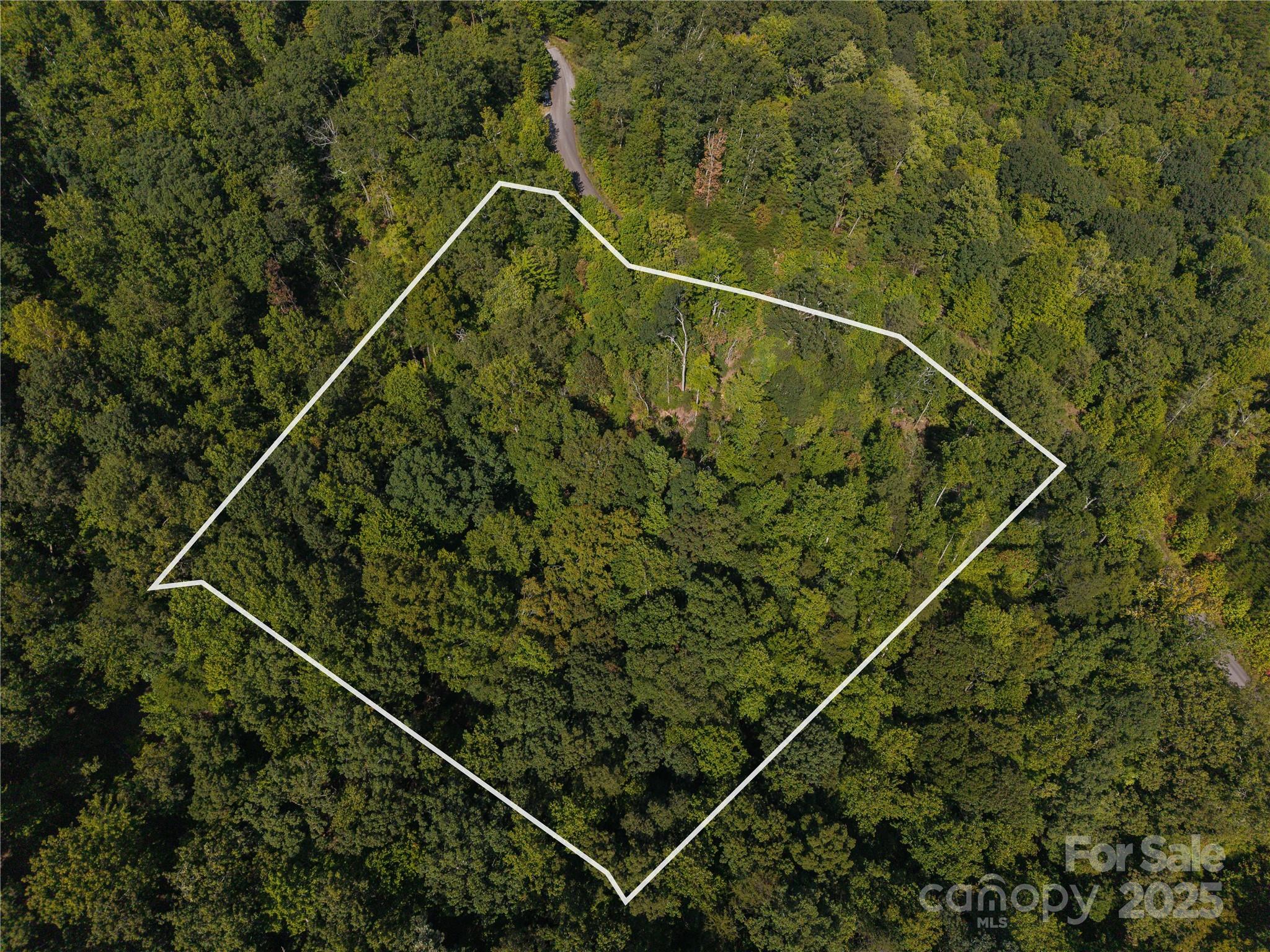 0 Wambli Pass Lake Lake Lure, NC 28746 - Photo 3 of 7