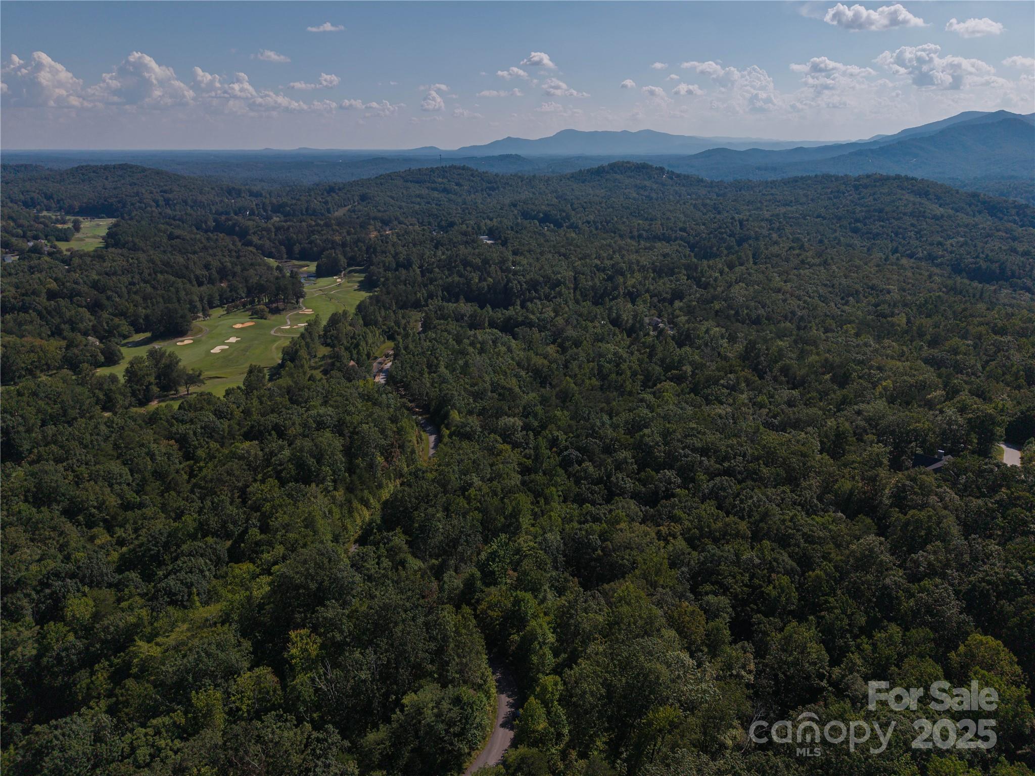 0 Wambli Pass Lake Lake Lure, NC 28746 - Photo 4 of 7