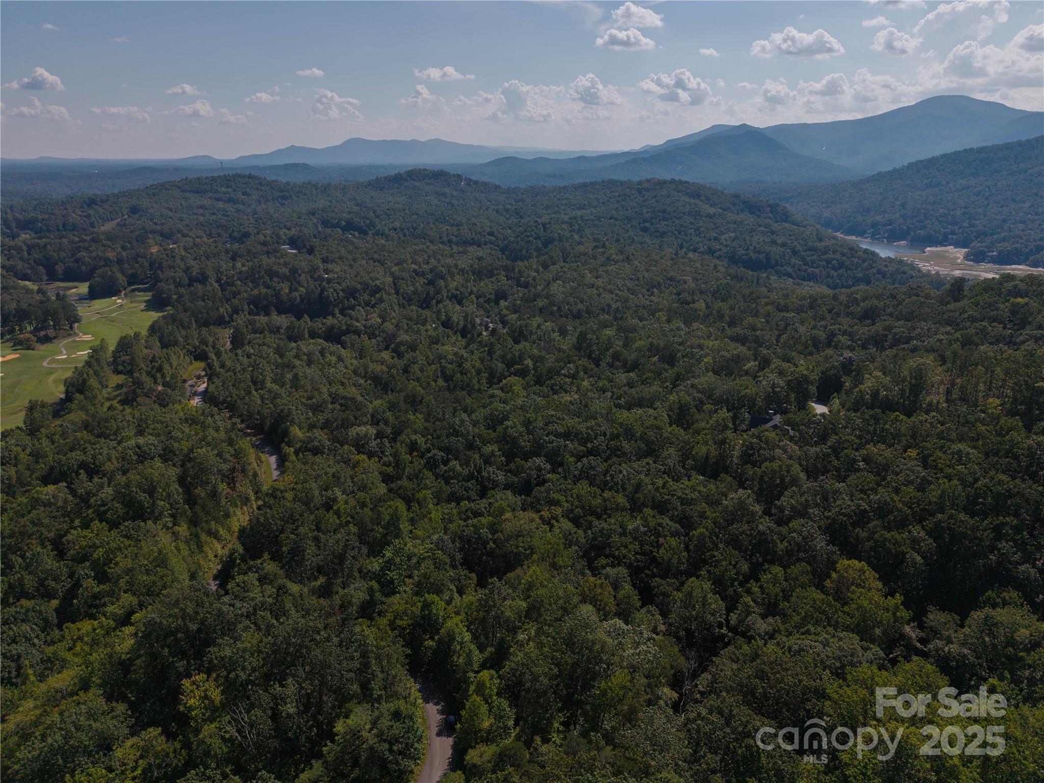 0 Wambli Pass Lake Lake Lure, NC 28746 - Photo 5 of 7