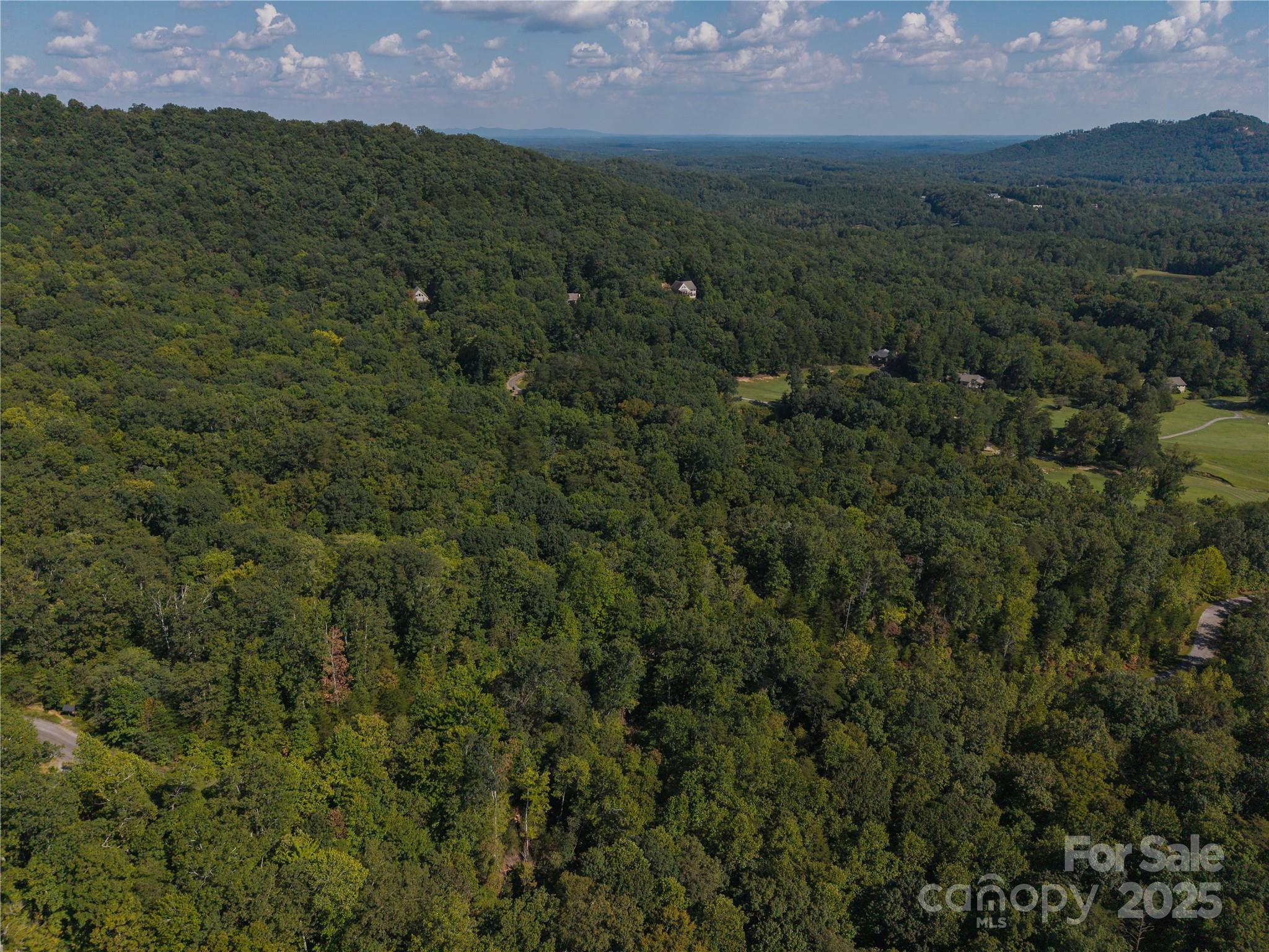 0 Wambli Pass Lake Lake Lure, NC 28746 - Photo 6 of 7