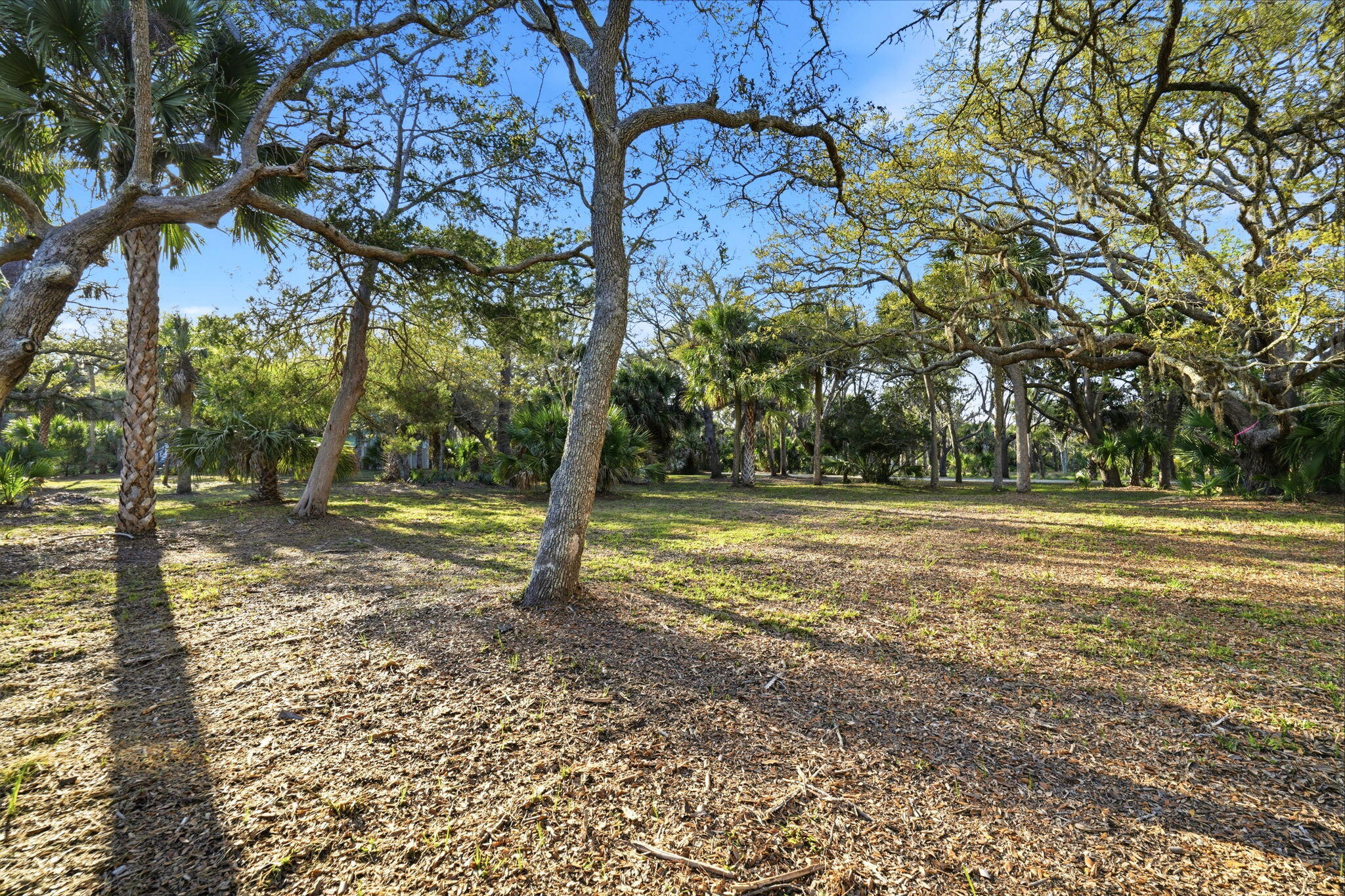 0 Hammocks Way Edisto Island, SC 29438 - Photo 8 of 40 51-web-or-mls-055_DSC06808