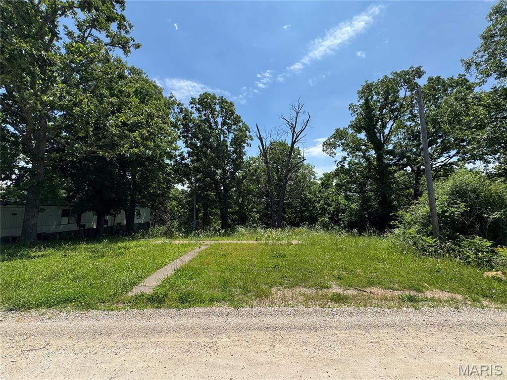 20055 Hartford Road Dixon, MO 65459 - Photo 1 of 6