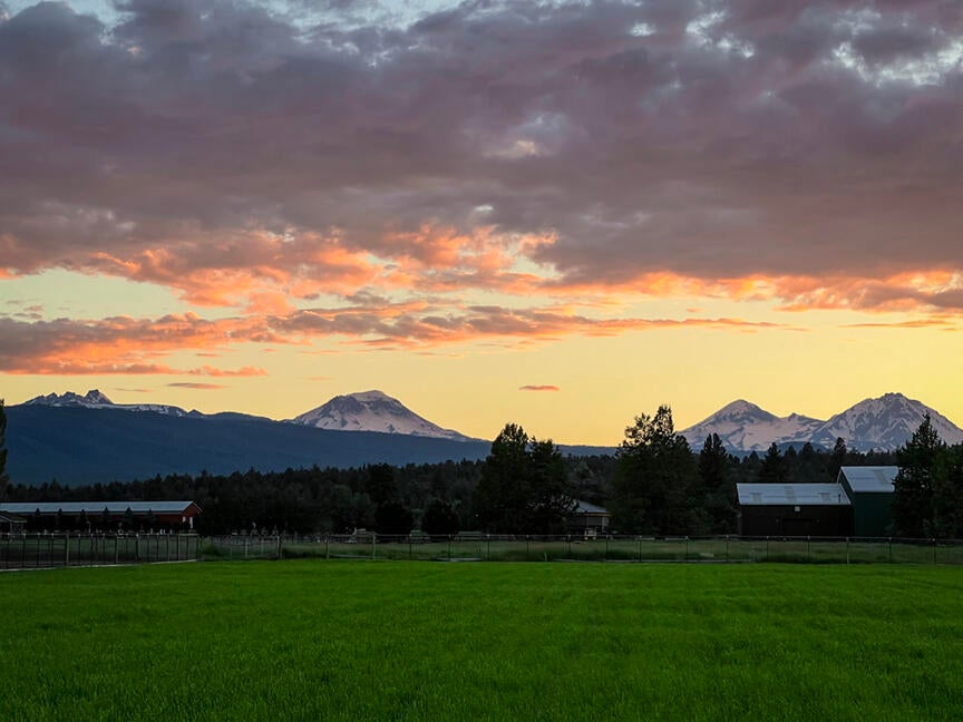 Mountain Views