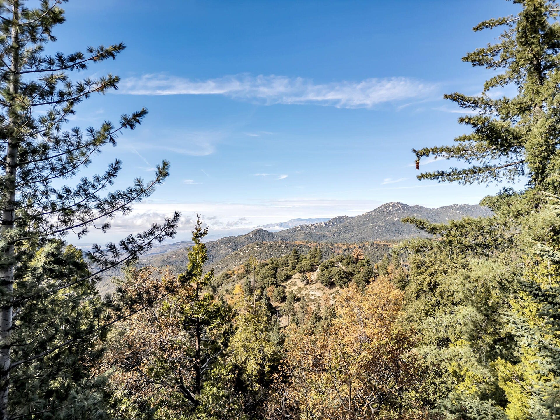 25121 Pine Cove Road Idyllwild, CA 92549 - Photo 3 of 65 a view of a mountain in the distance