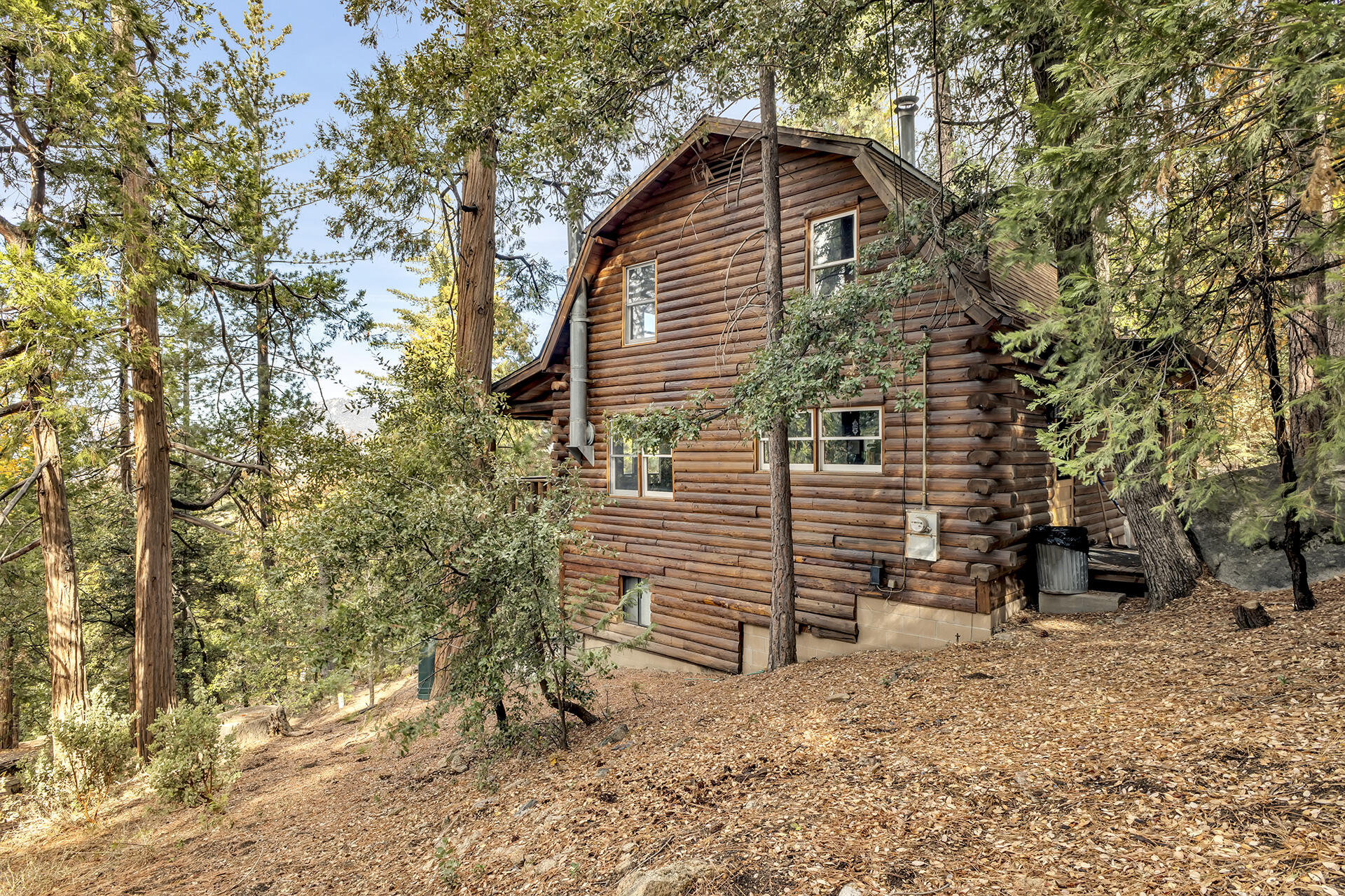 25121 Pine Cove Road Idyllwild, CA 92549 - Photo 5 of 65 a view of a house with a yard