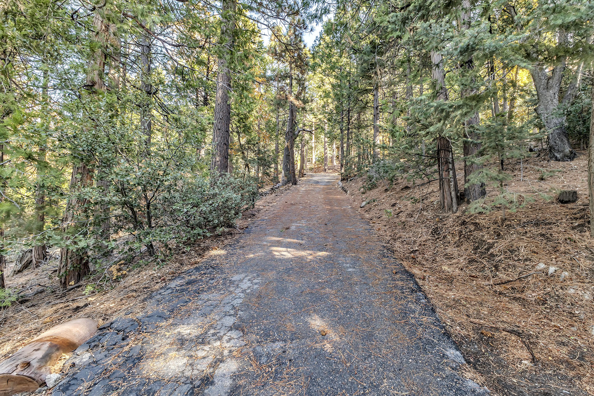25121 Pine Cove Road Idyllwild, CA 92549 - Photo 59 of 65 a view of a yard with large trees