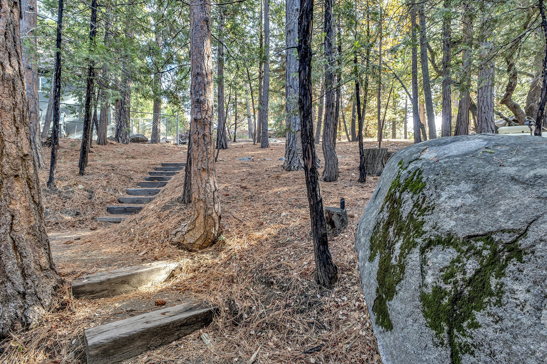 25121 Pine Cove Road Idyllwild, CA 92549 - Photo 61 of 65 a view of a backyard with large trees