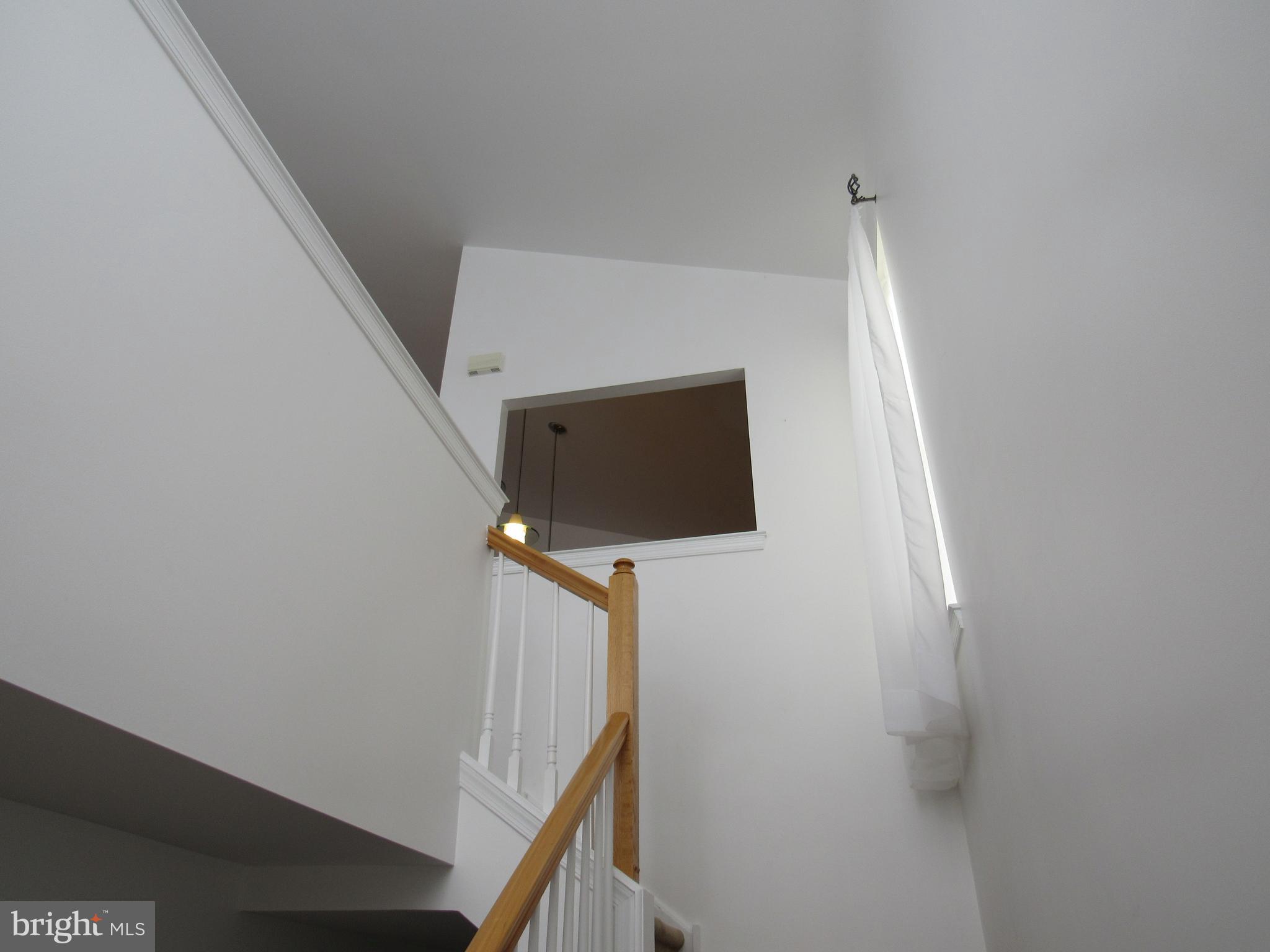 7336 Dungan Road, Unit B Philadelphia, PA 19111 - Photo 22 of 37 Gallery Image 22