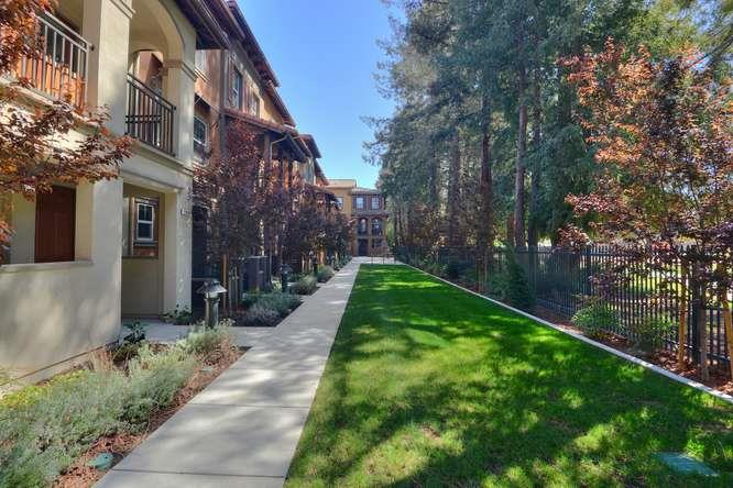 2870 Monroe Terrace San Jose, CA 95128 - Photo 1 of 28 a backyard of a building with garden