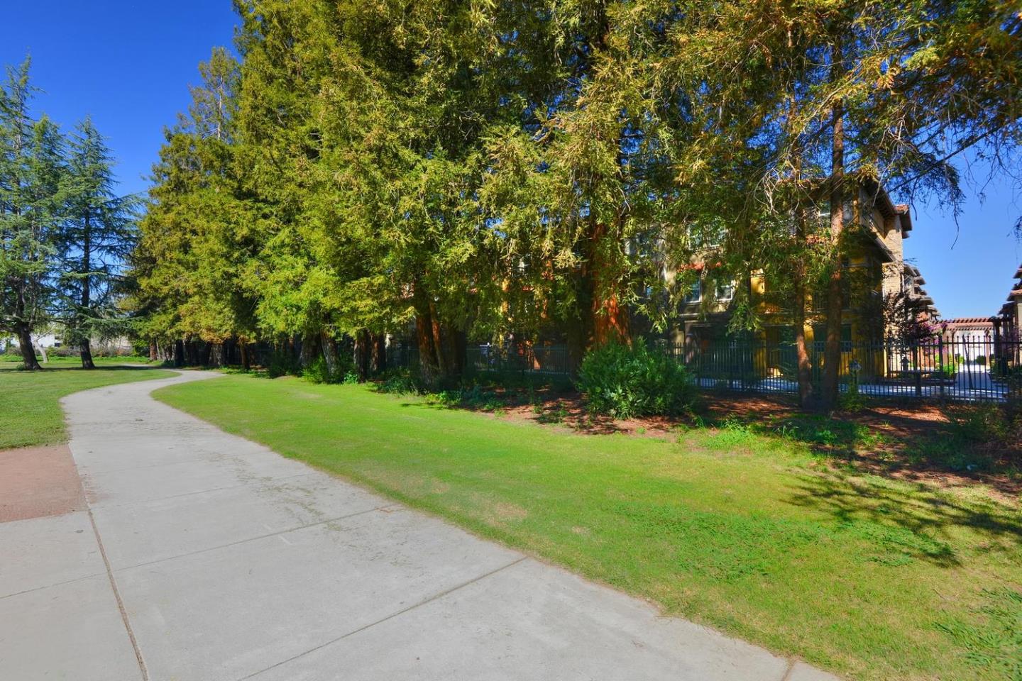 2870 Monroe Terrace San Jose, CA 95128 - Photo 27 of 28 a view of a park with large trees