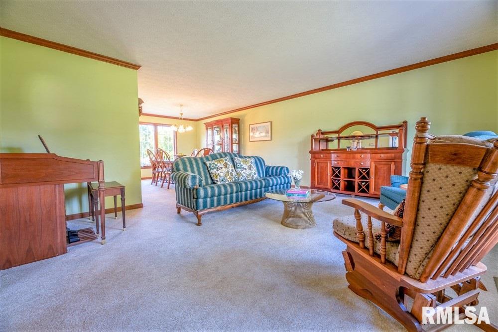 1125 North Moran Road Trivoli, IL 61569 - Photo 11 of 49