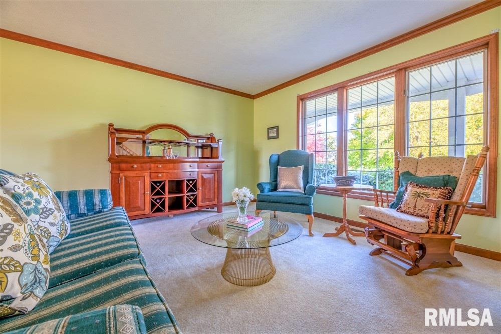 1125 North Moran Road Trivoli, IL 61569 - Photo 10 of 49