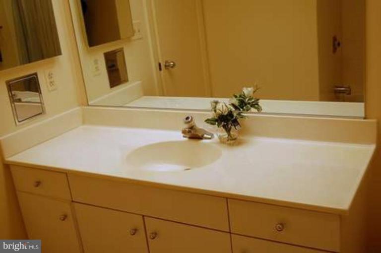 5501 Seminary Road, Unit 1907S Falls Church, VA 22041 - Photo 4 of 21 a bathroom with a sink and a mirror
