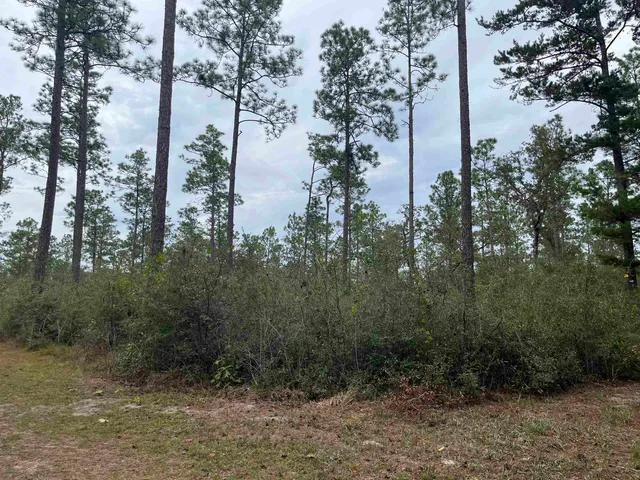 $5,520,000 | Xx Old Shell Point Road, Crawfordville, FL 32327