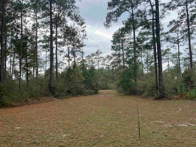 $5,520,000 | Xx Old Shell Point Road, Crawfordville, FL 32327