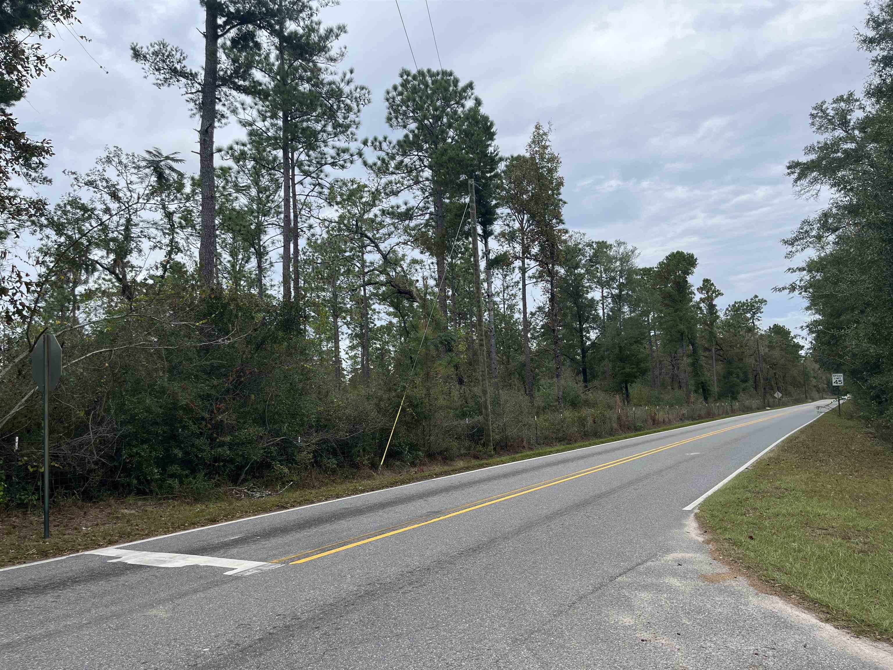 Xx Old Shell Point Road Crawfordville, FL 32327 - Photo 4 of 7