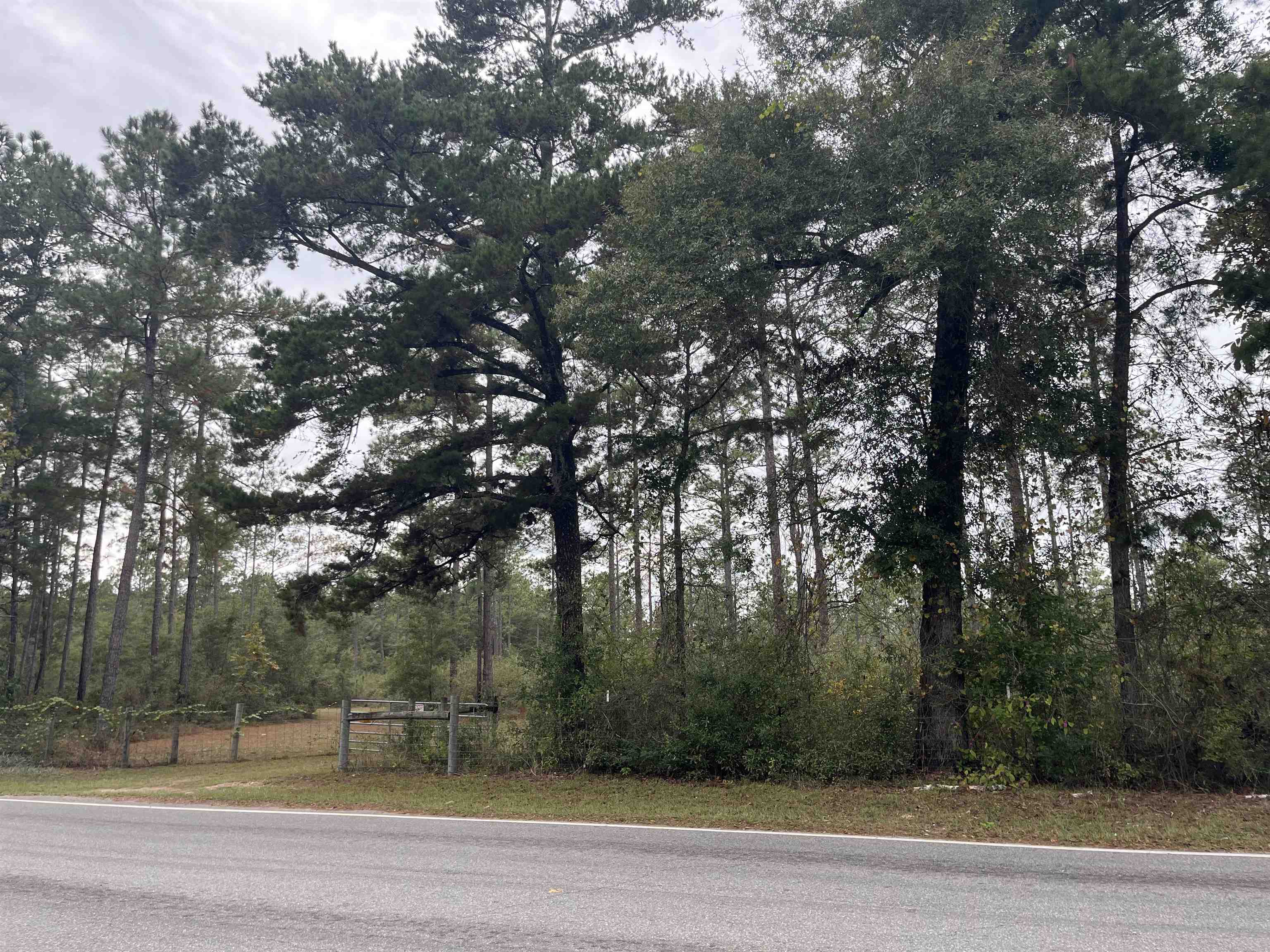 Xx Old Shell Point Road Crawfordville, FL 32327 - Photo 5 of 7