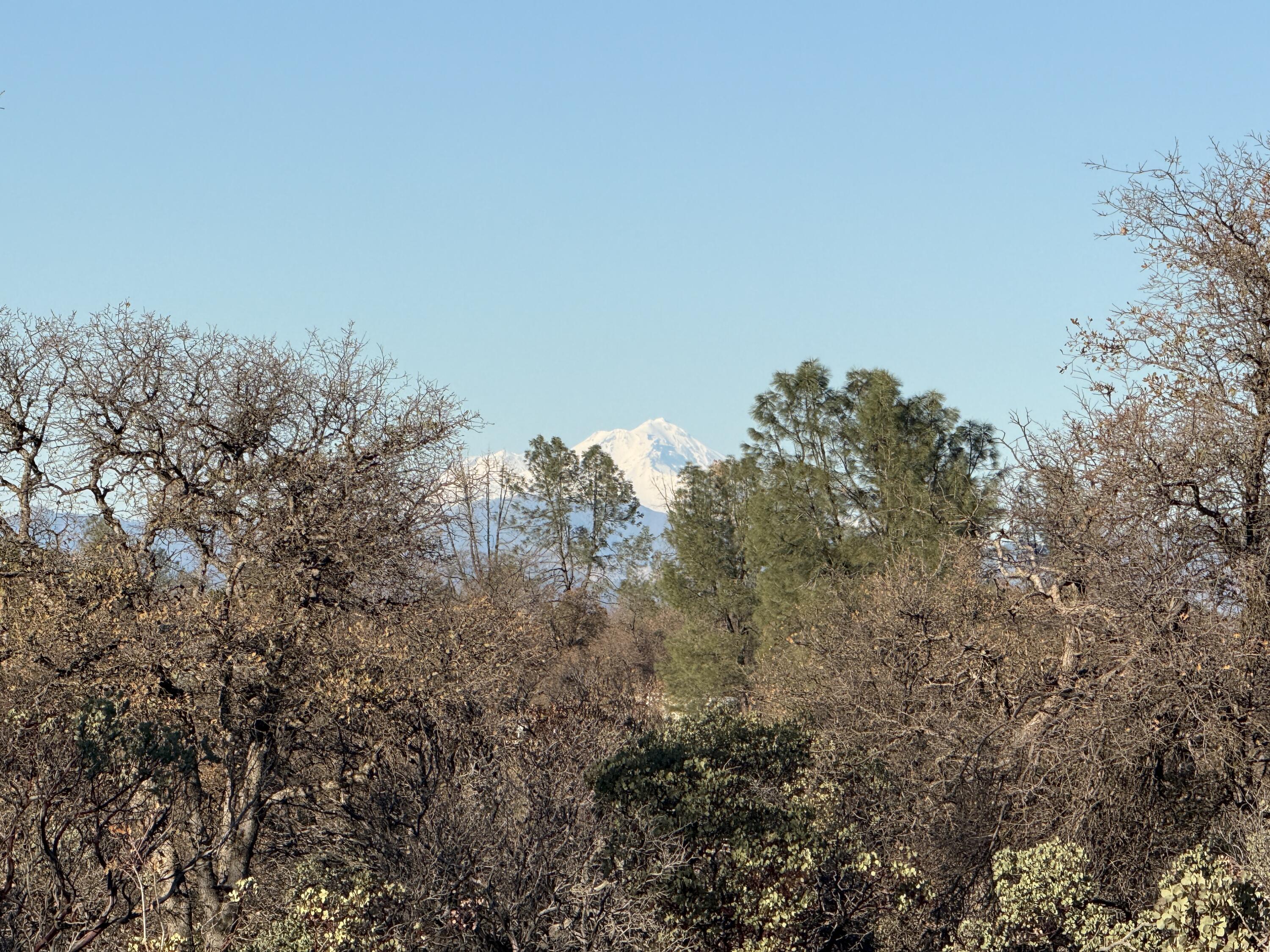 Nippy Lane Anderson, CA 96007 - Photo 9 of 21 IMG_1117