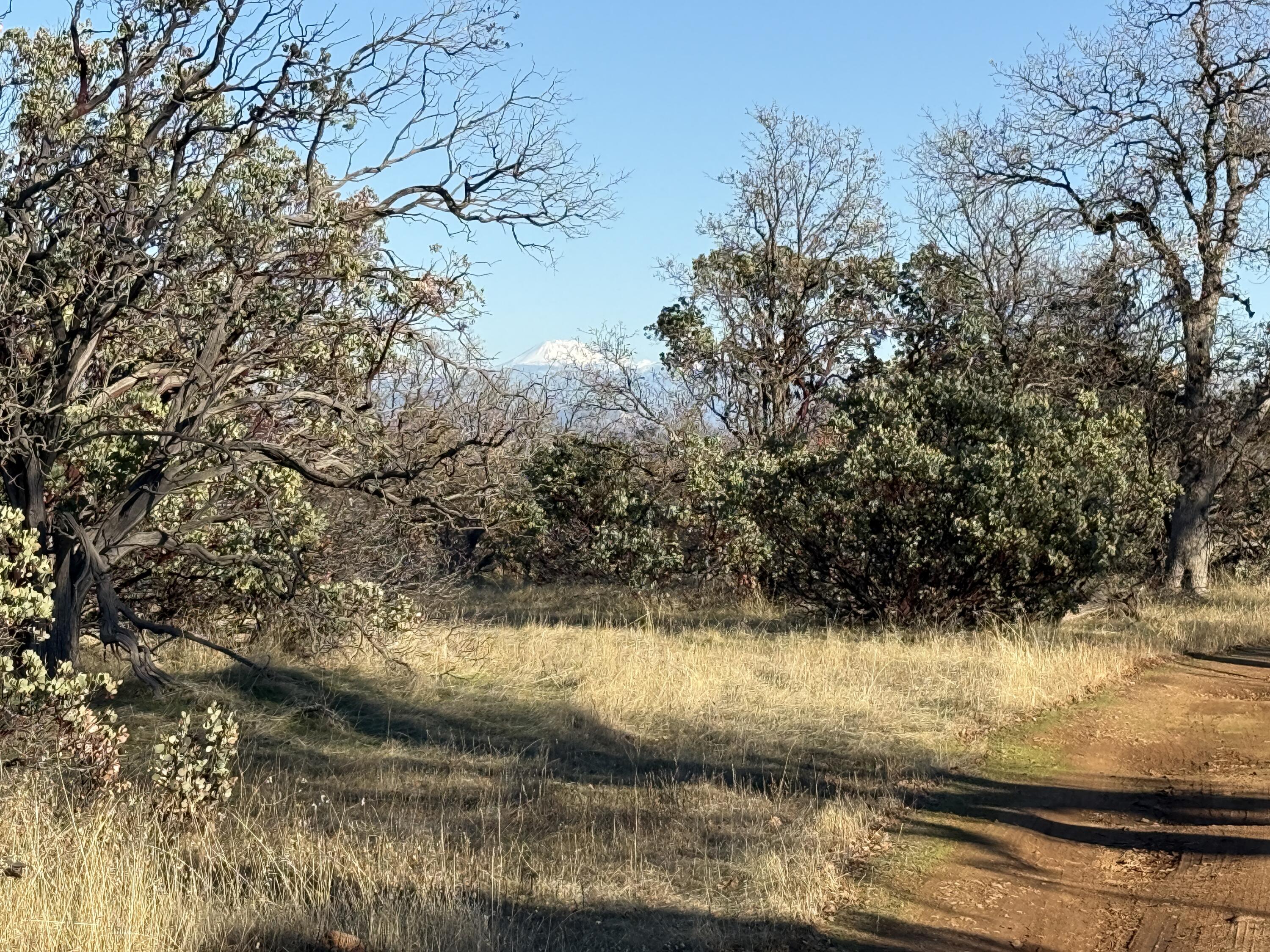 Nippy Lane Anderson, CA 96007 - Photo 10 of 21 IMG_1116
