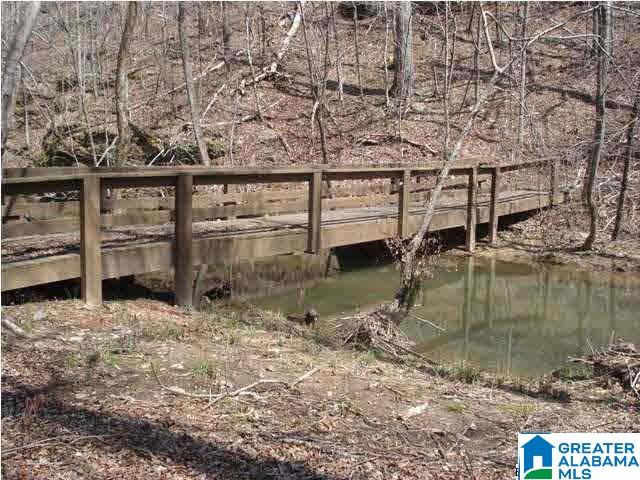 0 Waters Way, Unit LOT 41 Clanton, AL 35046 - Photo 8 of 9