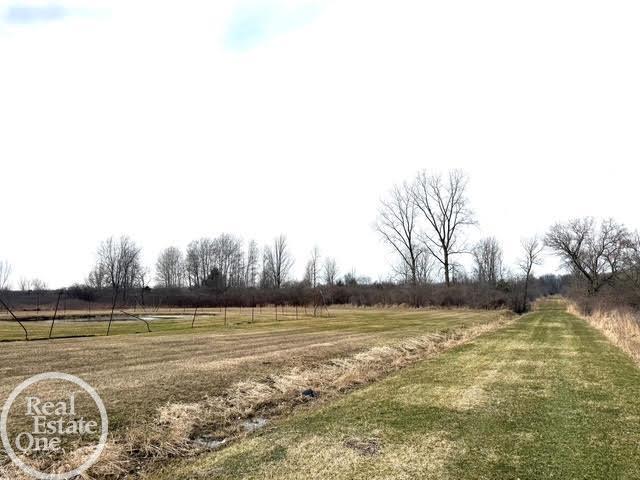 15594 Bryce Road Capac, MI 48014 - Photo 12 of 35