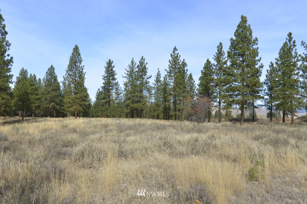 35 Wild Rose Road North Winthrop, WA 98862 - Photo 1 of 13 Gallery Image 1