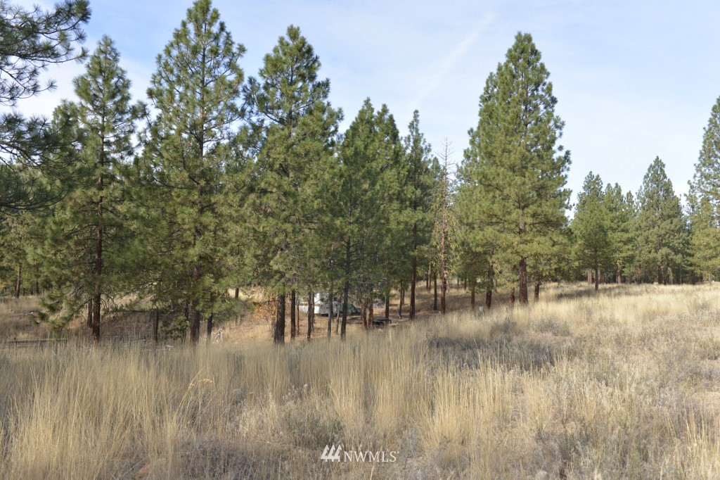 35 Wild Rose Road North Winthrop, WA 98862 - Photo 2 of 13 Gallery Image 2