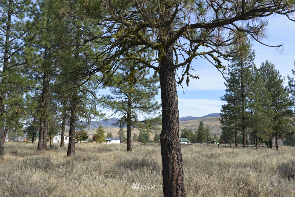35 Wild Rose Road North Winthrop, WA 98862 - Photo 11 of 13 Gallery Image 11