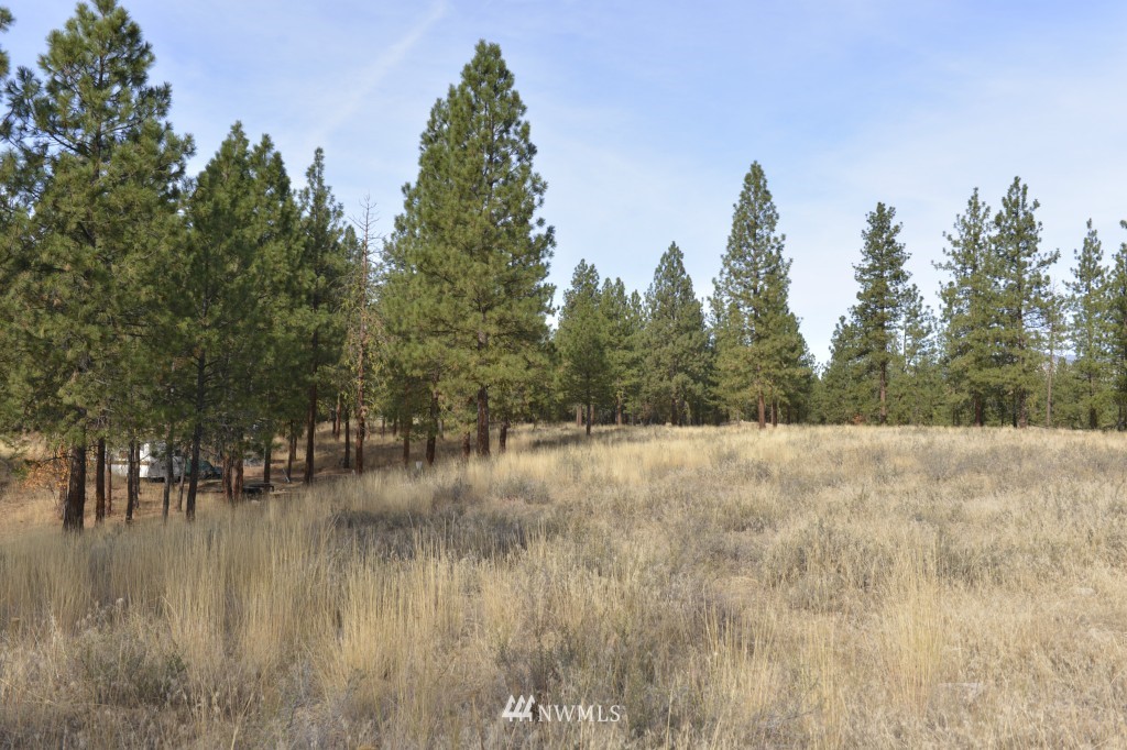 35 Wild Rose Road North Winthrop, WA 98862 - Photo 3 of 13 Gallery Image 3
