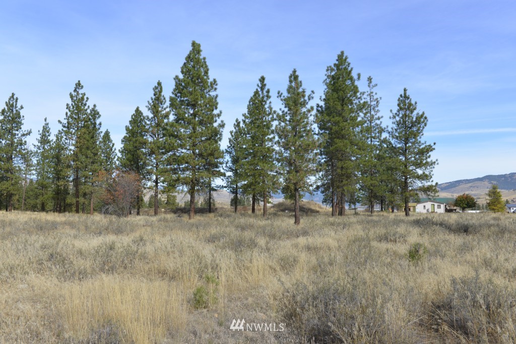 35 Wild Rose Road North Winthrop, WA 98862 - Photo 4 of 13 Gallery Image 4